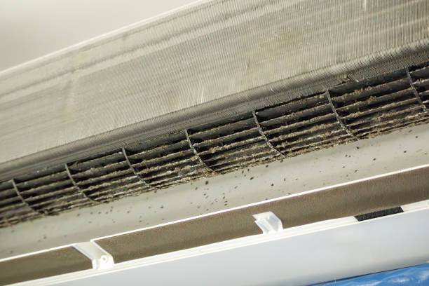 Best Professional Duct Cleaning Services  in Tomah, WI